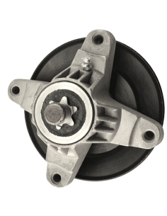 Guoliavietė su ašimi 2