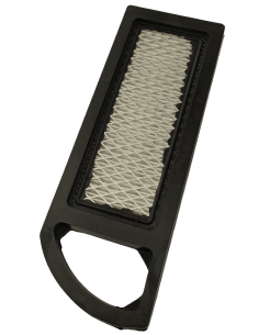 Oro filtras B/S varikliams 2