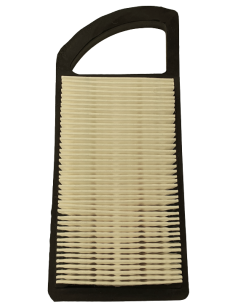 Oro filtras B/S varikliams 2