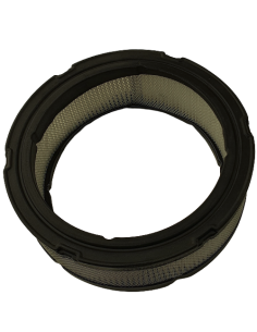 Oro filtras B/S varikliams 2