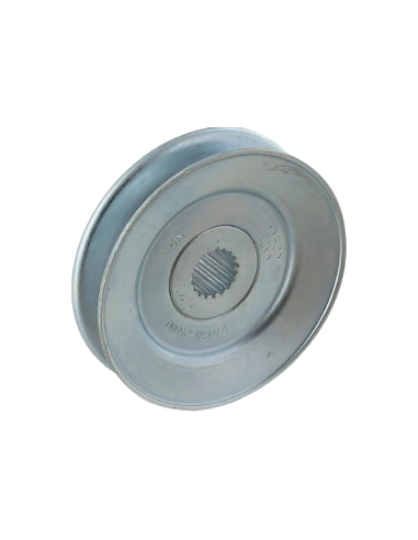 Skriemulys galinio tilto