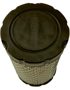 Oro filtras B/S varikliams 2