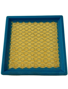 Oro filtras B/S varikliams 2