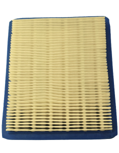 Oro filtras B/S varikliams 2