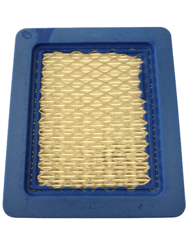 Oro filtras B/S varikliams