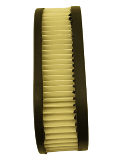 Oro filtras B/S varikliams 2