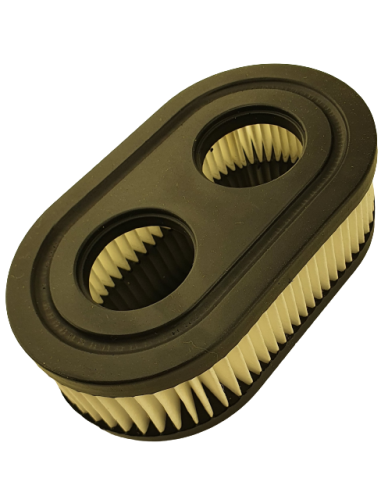 Oro filtras B/S varikliams