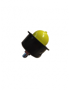 Pompelė