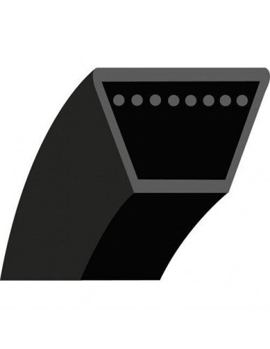 Diržas V formos 113"