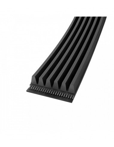 Diržas PJ 457 12 vijos