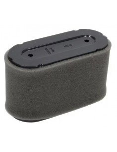 Oro filtras Castelgarden...