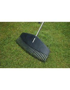 Didelis lengvas lapų... 2