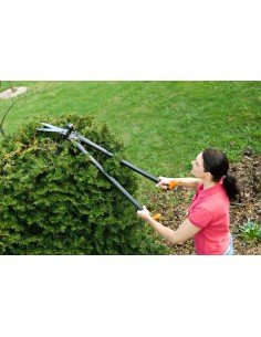 Žirklės su svertu žolei ir... 2