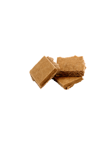 Anglių uždegikliai