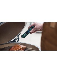 Momentinis termometras 2