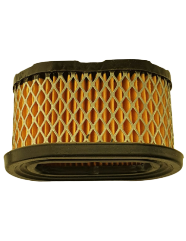 Oro filtras B/S varikliams