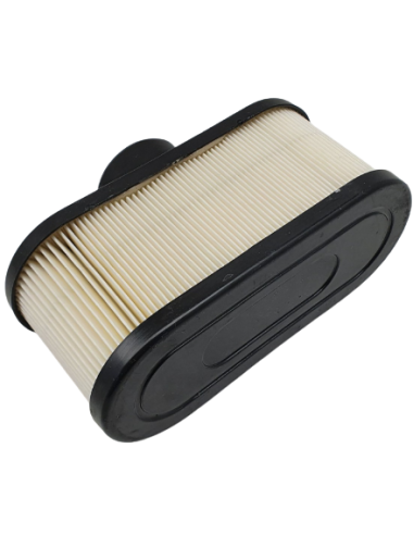 Oro filtras Kawasaki varikliams