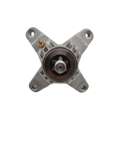 Guoliavietė su ašimi MTD 2